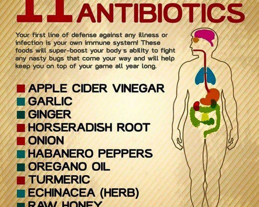 11 Natural Antibiotics